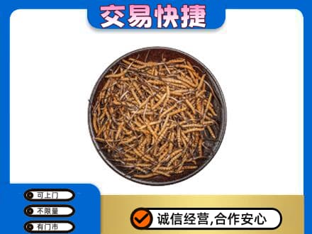 鄂州鄂城区高价回收散虫草